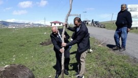Ardahan Köprülü Beldesi’nde Ağaçlandırma Seferberliği