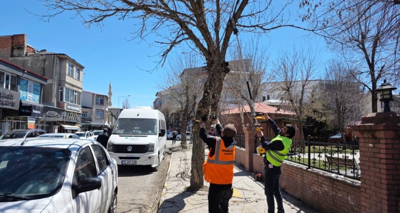 Ardahan Belediye Ekipleri Ağaç Budama Çalışması