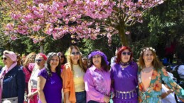 Ankara Dikmen Vadisi’nde “Sakura Şenliği” Düzenlendi