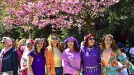 Ankara Dikmen Vadisi’nde “Sakura Şenliği” Düzenlendi