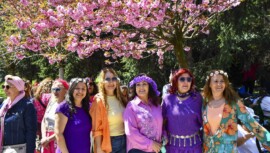 Ankara Dikmen Vadisi’nde “Sakura Şenliği” Düzenlendi