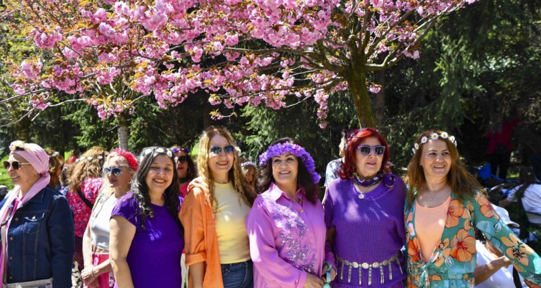 Ankara Dikmen Vadisi’nde “Sakura Şenliği” Düzenlendi