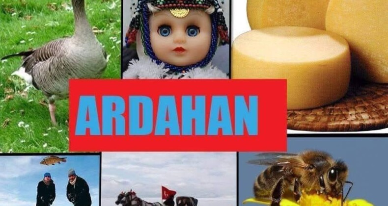 2026 Ardahan Festival Takvimi
