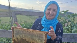 Göle Kadın Kooperatifi Organik Bal Satışı