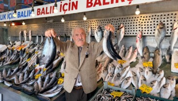 Palamutta 25 Sene Önceki Bolluk Yaşanıyor