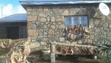 Kars ve Ardahan’da Kaz Kesimi Başladı; Kaz 5 Bin TL
